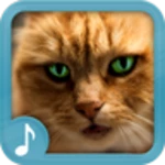 Logo of Meowing Cat Sounds android Application 