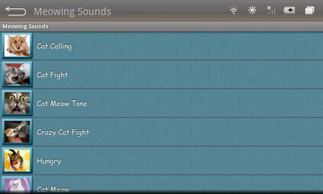 Meowing Cat Sounds android App screenshot 12