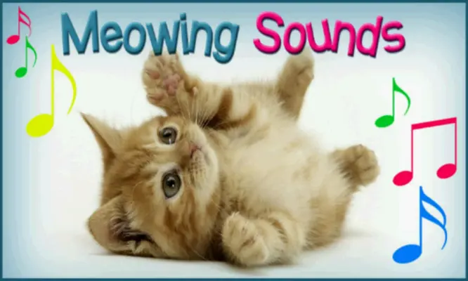 Meowing Cat Sounds android App screenshot 15