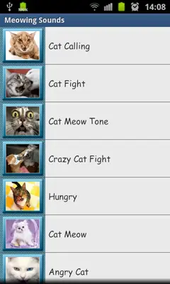 Meowing Cat Sounds android App screenshot 5